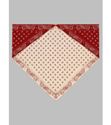 [GUEST IN RESIDENCE] Scarf FW26 A28334AF_CARMINE/BUTTER