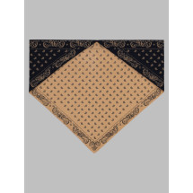 [GUEST IN RESIDENCE] Scarf FW26 A28334AF_NAVY/CAMEL