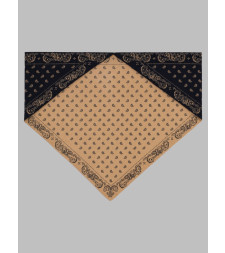 [GUEST IN RESIDENCE] Scarf FW26 A28334AF_NAVY/CAMEL