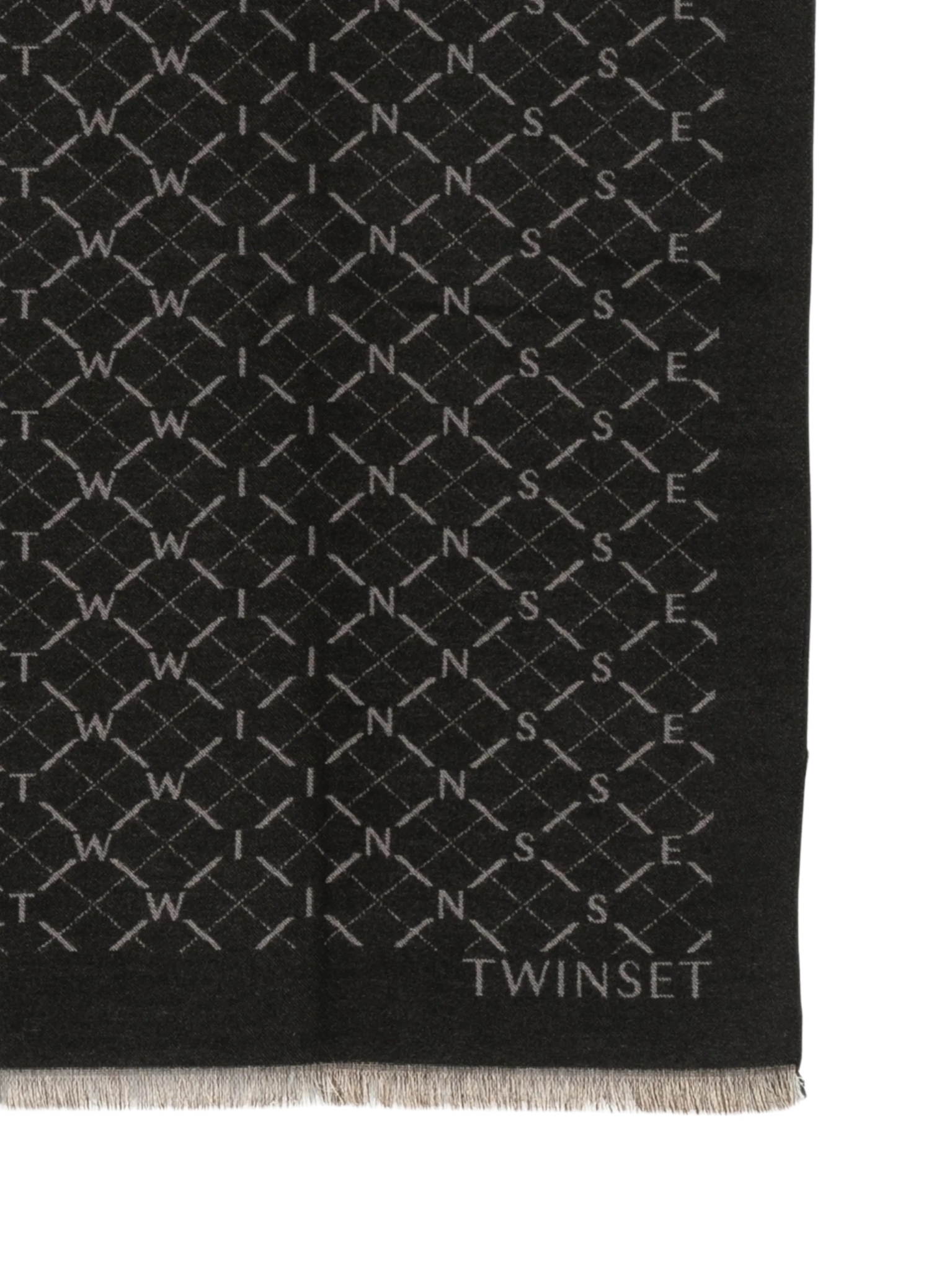 [Twinset] Scarf FW26 262TA4300