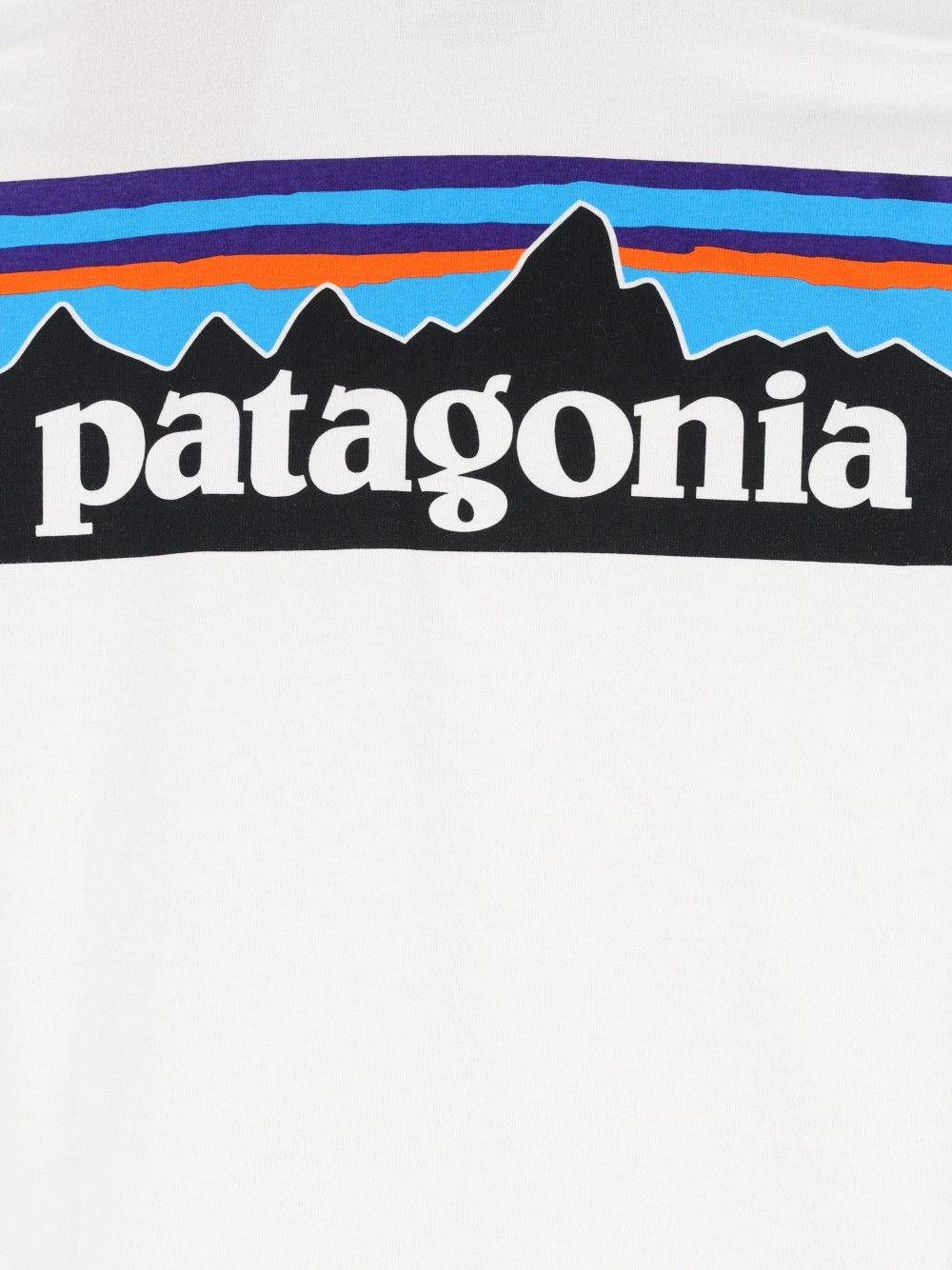 [Patagonia] T-shirts Short Sleeve CO 38504FBWI