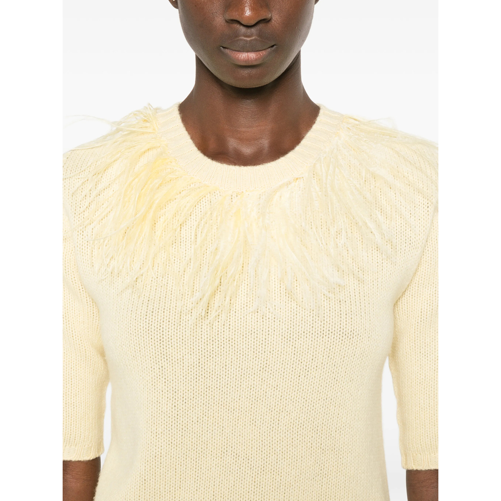 [Fabiana Filippi] Knitwear FW26 MAD226F490 M438 713