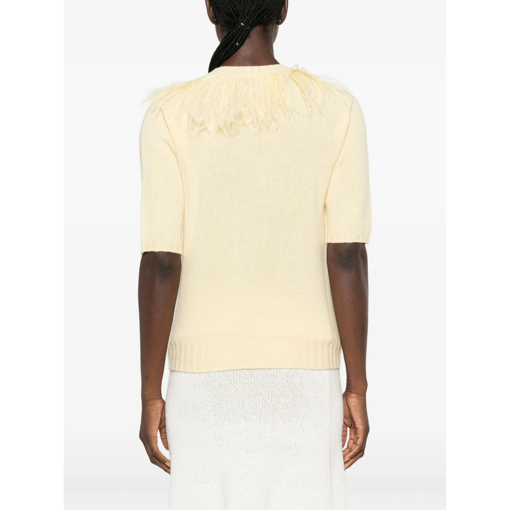 [Fabiana Filippi] Knitwear FW26 MAD226F490 M438 713