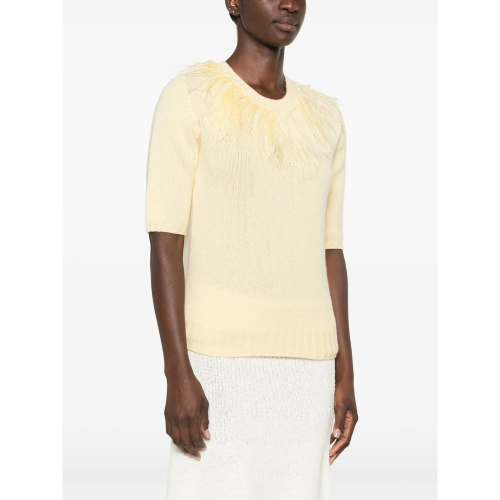 [Fabiana Filippi] Knitwear FW26 MAD226F490 M438 713