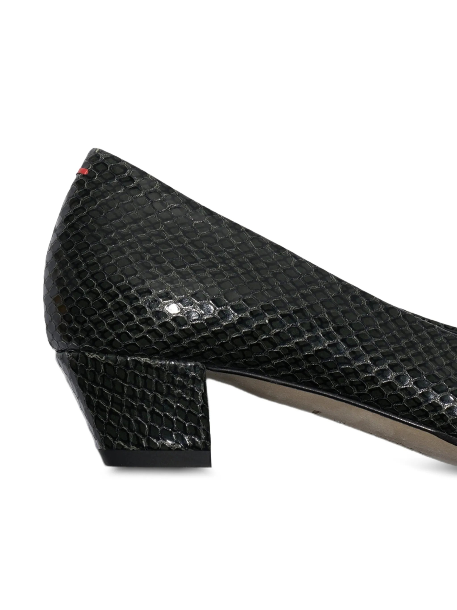 [Aeyde] Pumps FW26 A11PU0592073030226