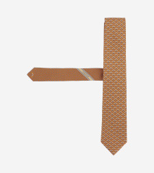 [Salvatore Ferragamo] Tie FW26 351389006