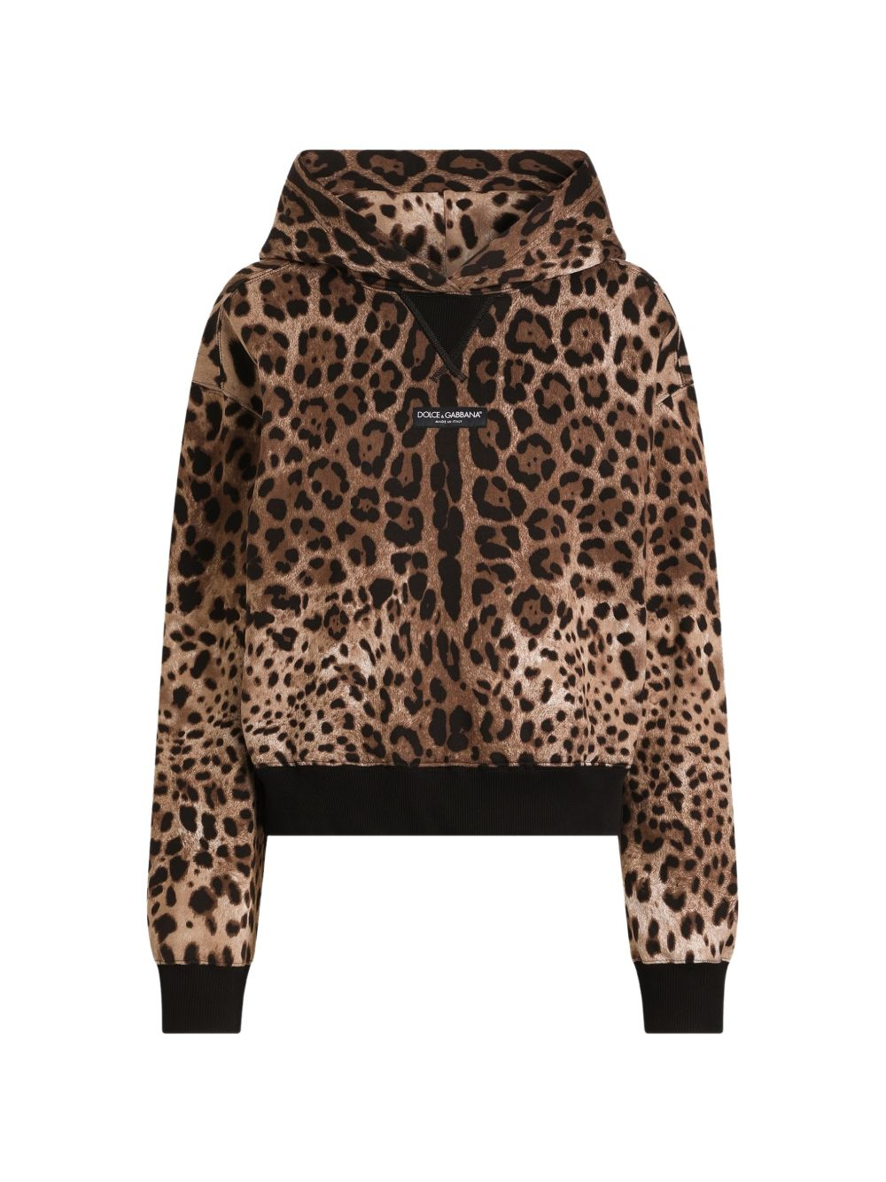[Dolce & Gabbana] Hoodie FW26 F9U48TFS785HY13M