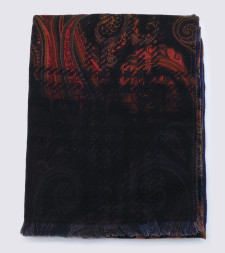 [Etro] Scarf FW26 MATA0079AQ13ZX0883