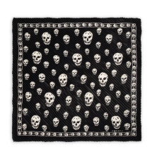 [Alexander McQueen] Scarf FW26 867085-3001Q1078