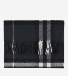 [Burberry] Scarf FW26 8112629ANCHORGREEN