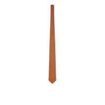 [Lardini] Tie FW26 ACCRC7AC67125420 BRMULTI