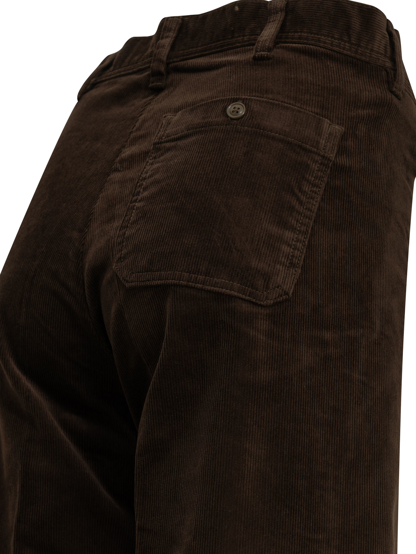 [Polo Ralph Lauren] Pants FW26 211B17556004BROWN
