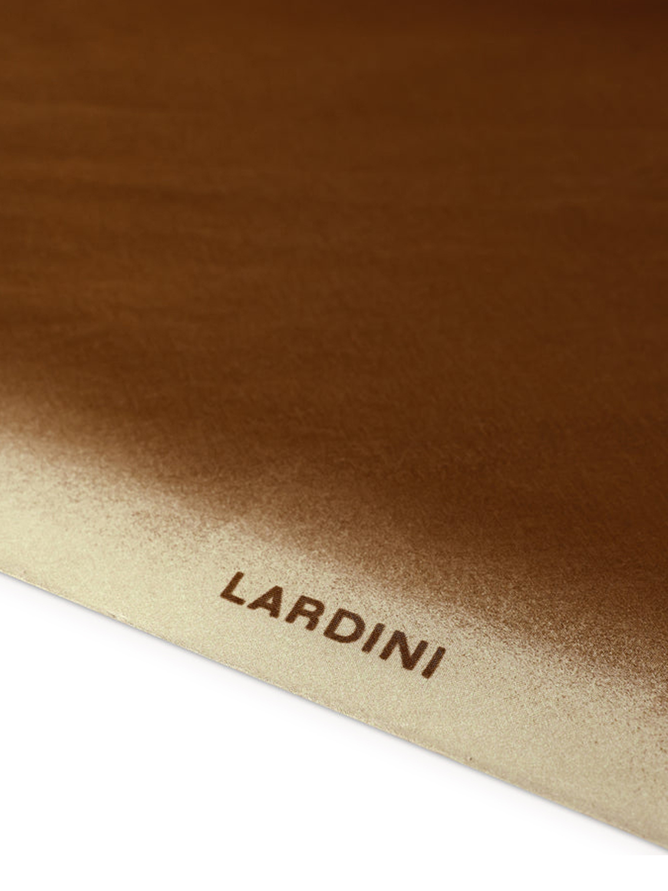 [Lardini] Scarf SS26 PAFOU12PA66172450 BROWN