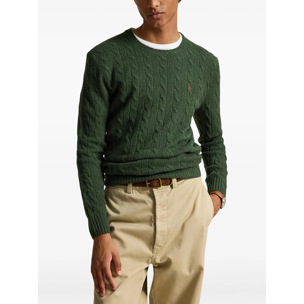 [Ralph Lauren] Sweatshirt FW26 710876762507  PINEH