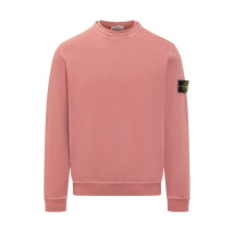 [Stone Island] Sweatshirt SS26 L1S156100034S0060 V018G