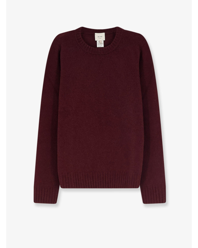 [Alysi] Knitwear FW26 266471A6213MER