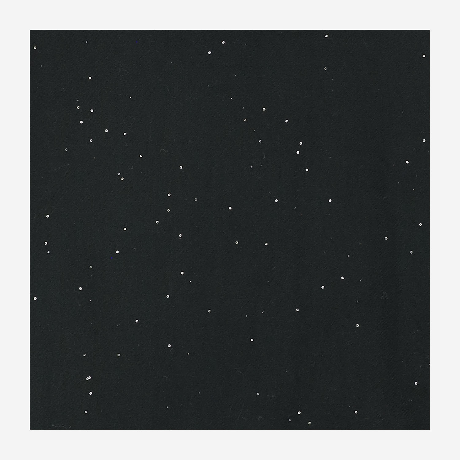[Faliero Sarti] Scarf FW26 03323070