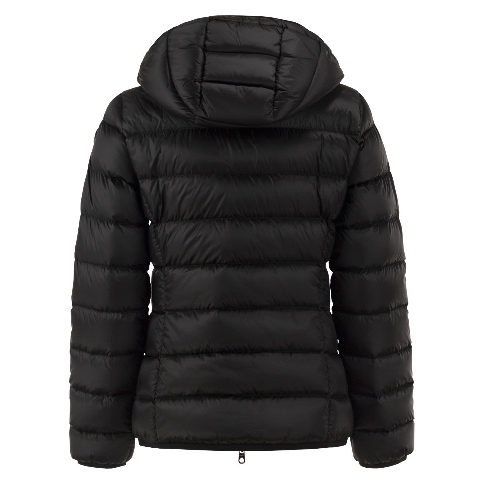 [CAPE HORN] Down jacket CO D2550 500