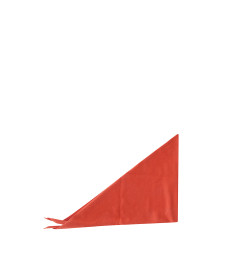 [EXTREME CASHMERE X] Scarf FW26 03500801TU10 TOMATO