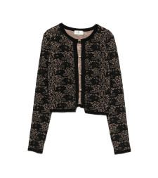 [ELISABETTA FRANCHI] Knitwear FW26 MK29Q66E2 FR9