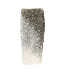 [ELISABETTA FRANCHI] Long skirt FW26 GO24367E2360