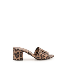 [Dolce & Gabbana] Pumps FW26 CR1996A0426 HY13M