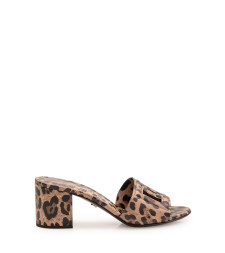 [Dolce & Gabbana] Pumps FW26 CR1996A0426 HY13M