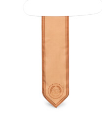 [ELISABETTA FRANCHI] Scarf FW26 FO04F66E2 FR3