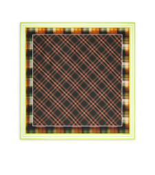 [DRIES VAN NOTEN] Scarf FW26 2620113024139211 NEON YELLOW