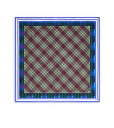 [DRIES VAN NOTEN] Scarf FW26 2620113024139504 BLUE