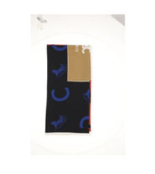 [Celine] Scarf FW26 2AW902R45GGT3
