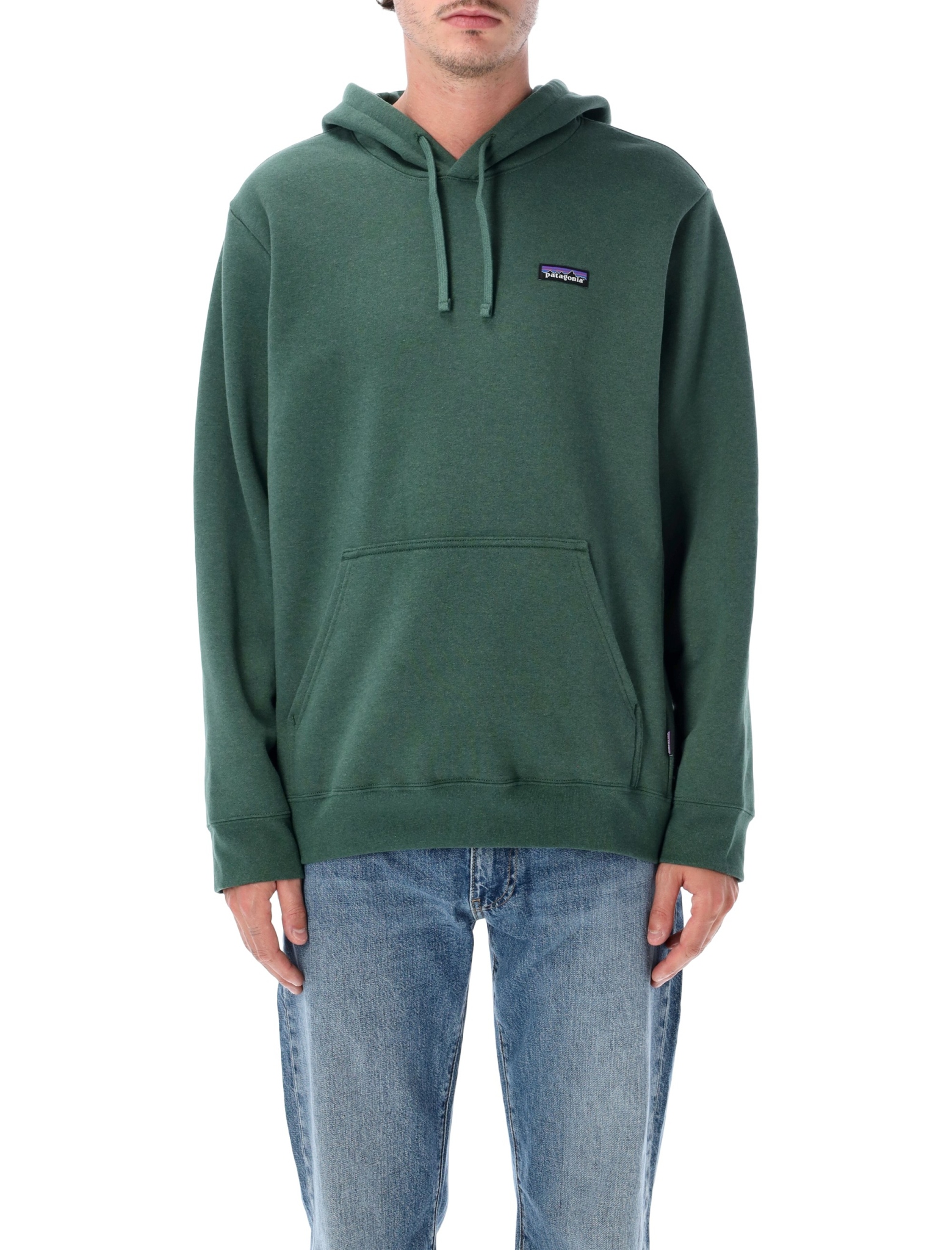 [Patagonia] Hoodie FW26 39621CNGR