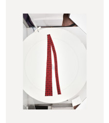 [Celine] Tie FW26 AA0HN5A4027ED