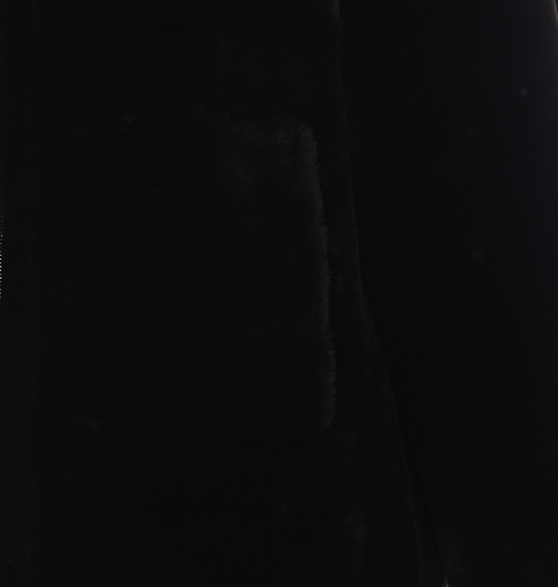 [Blancha] Fur Jacket FW26 26100302NERO