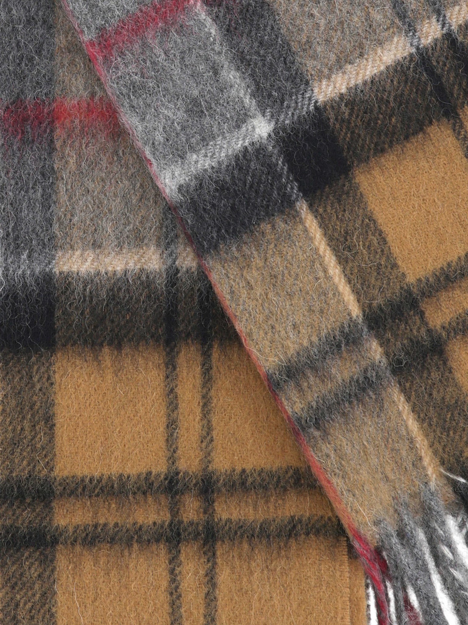 [Barbour] Scarf FW26 USC0002USC1BE54