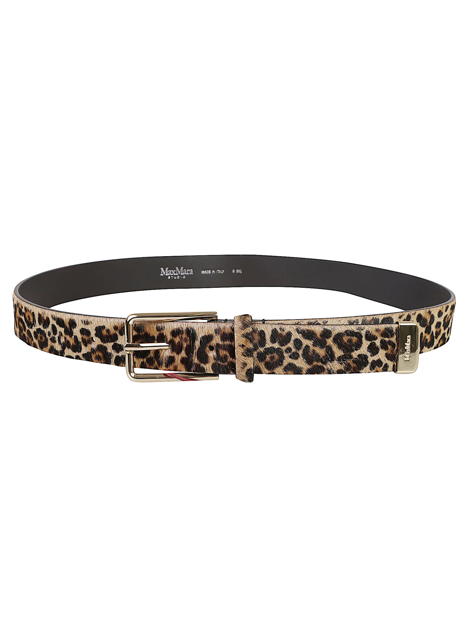 [MAX MARA STUDIO] Belt FW26 OMETTO 2626506011600