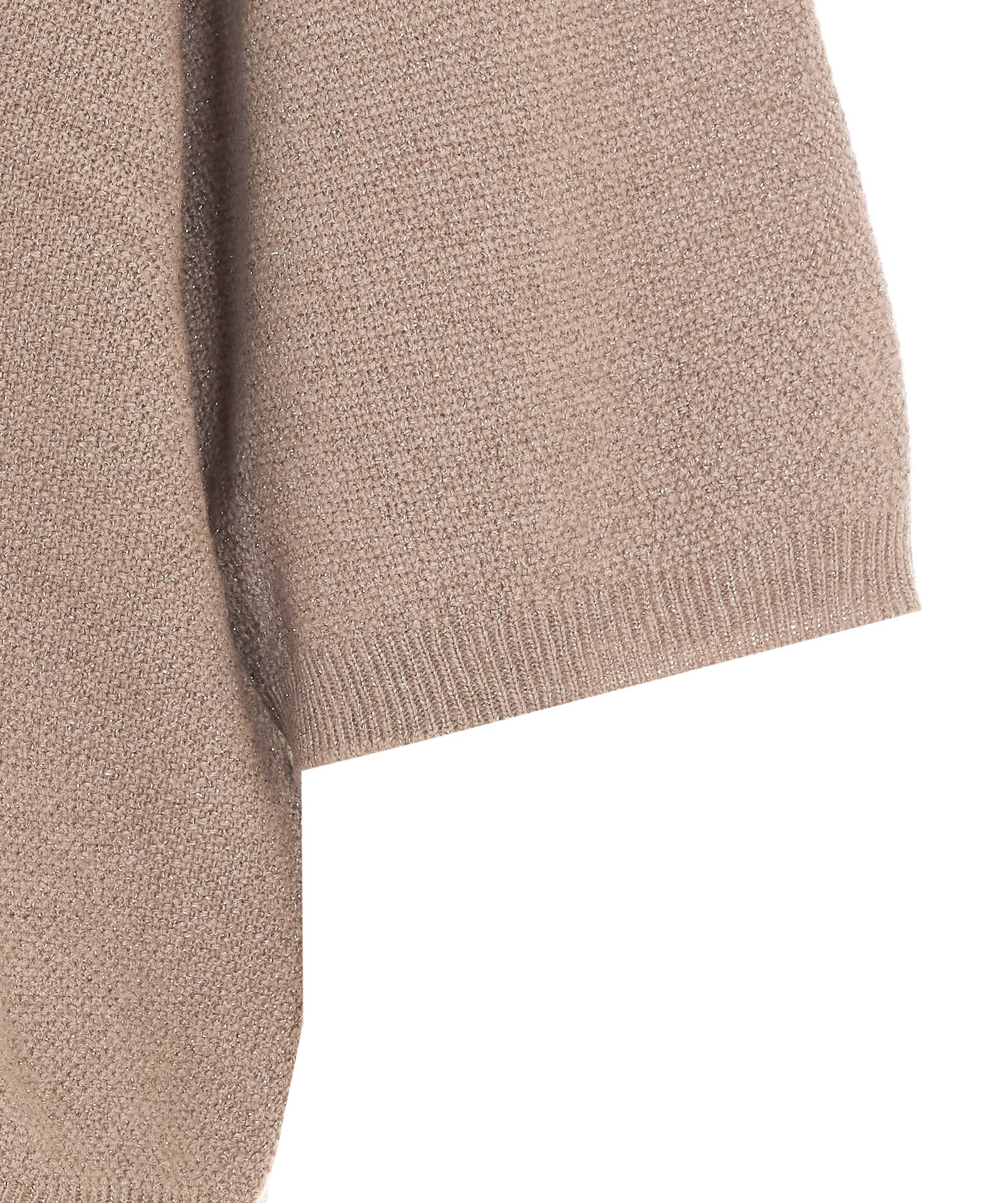 [Fabiana Filippi] Sweatshirt FW26 MAD216F402M3330165