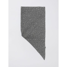 [PINKO] Scarf FW25 106001A2Z8 I12