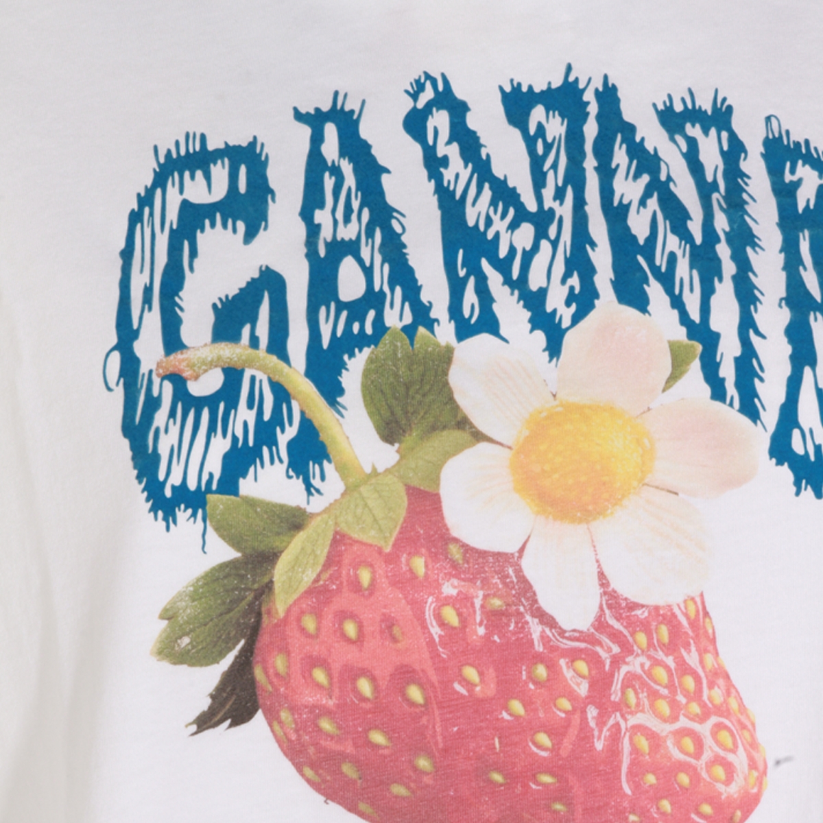 [GANNI] Sweatshirt FW26 A1050241151