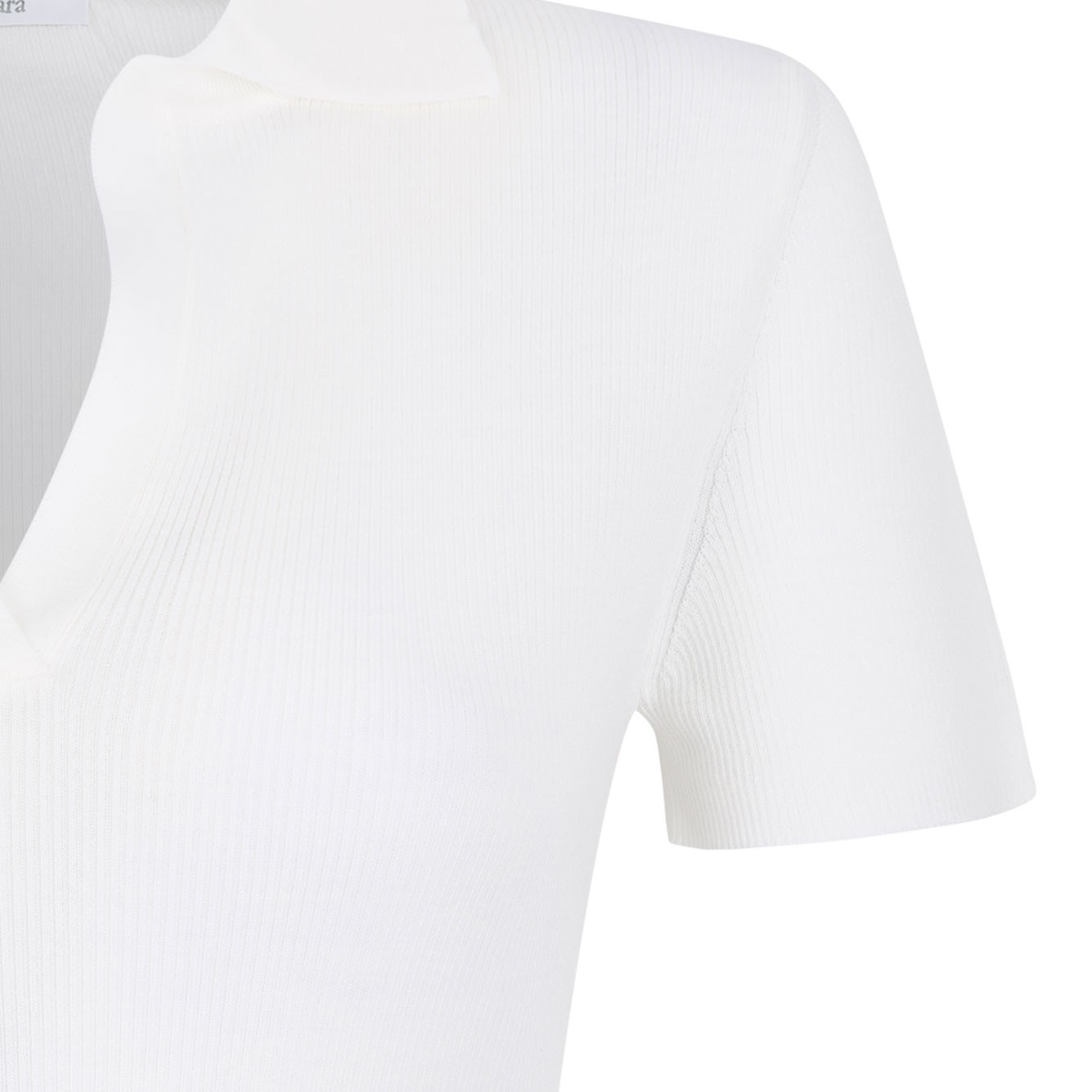 [MAX MARA 1ST] Knitwear SS26 2611361171600MXMALBERO-019001