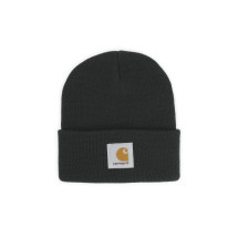 [CARHARTT WIP] Beanie FW26 I0369623U0XX