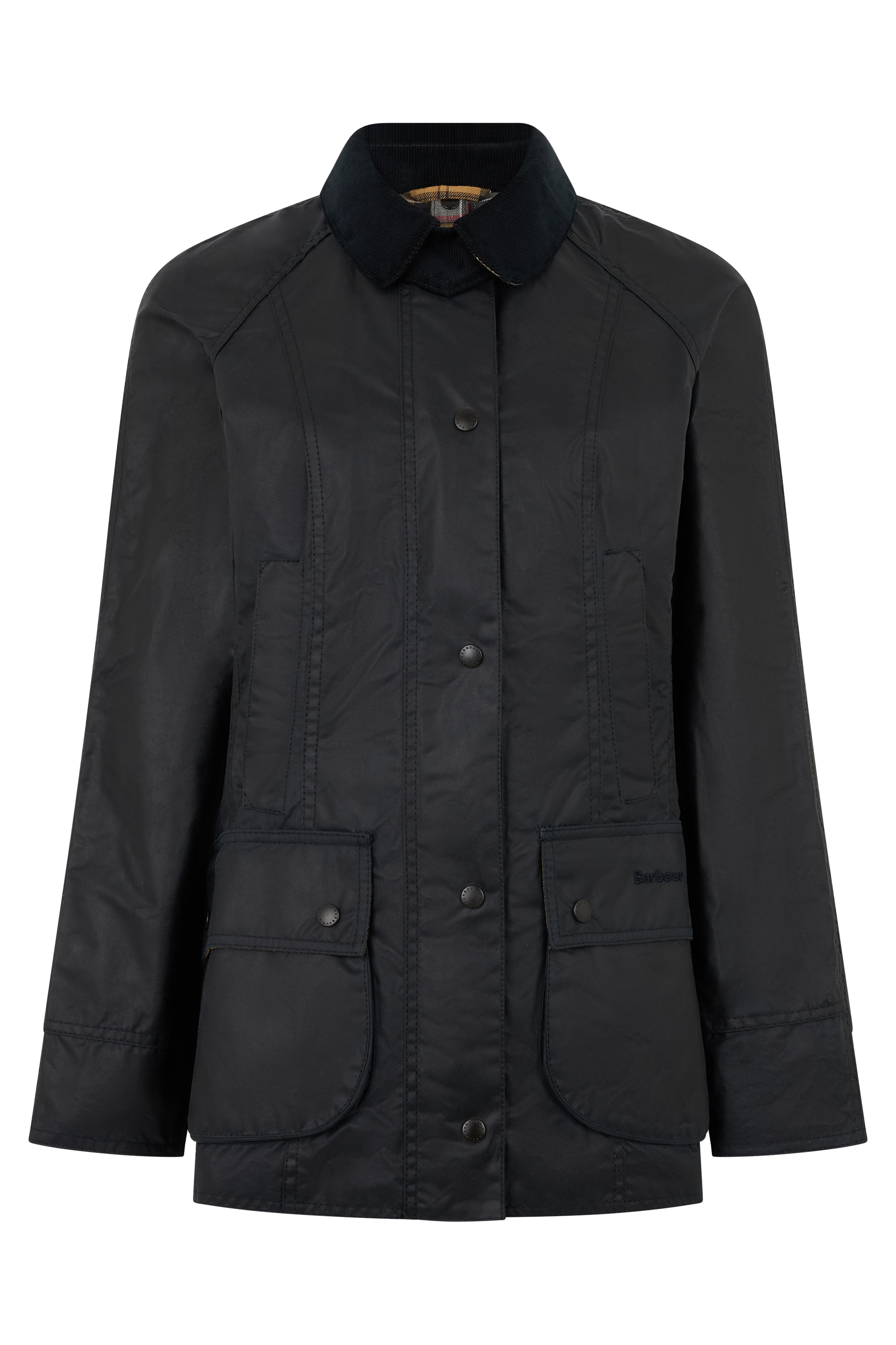 Light jacket in coated cotton